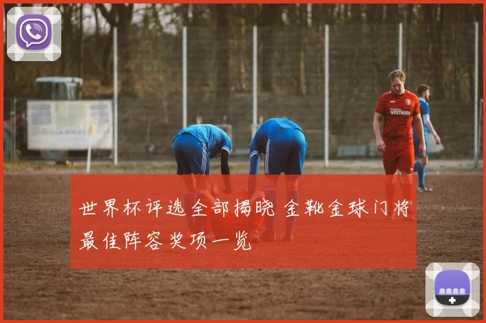 世界杯评选全部揭晓 金靴金球门将最佳阵容奖项一览