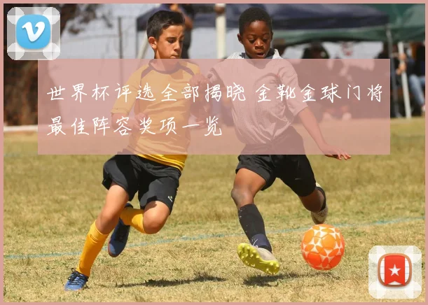 世界杯评选全部揭晓 金靴金球门将最佳阵容奖项一览