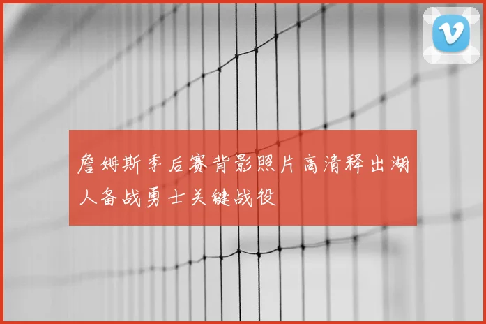 詹姆斯季后赛背影照片高清释出湖人备战勇士关键战役